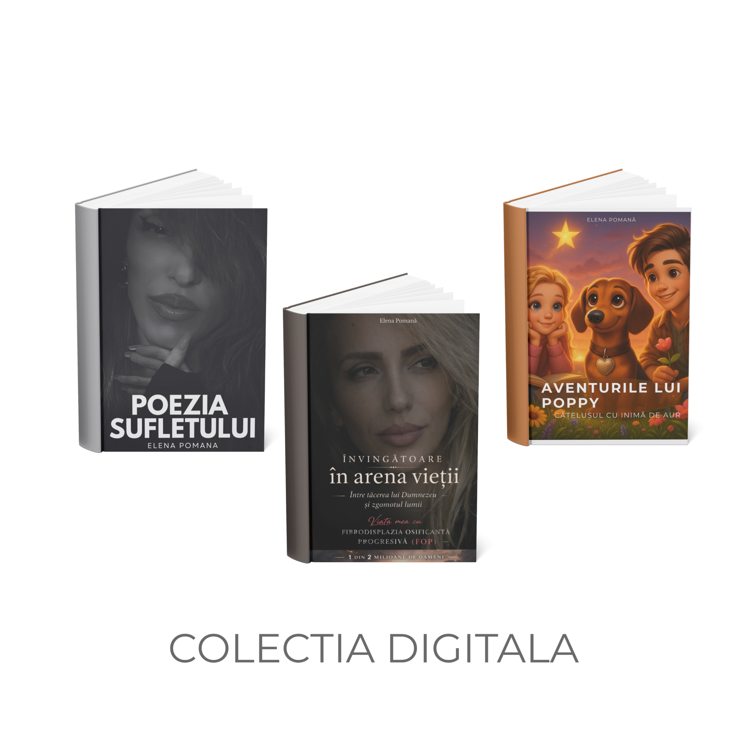 EBOOK